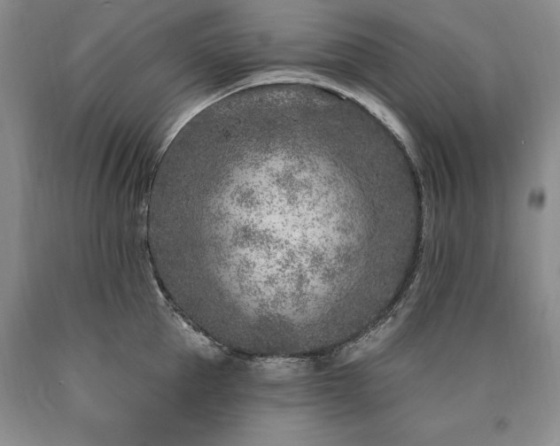 X0000090870953200707271248