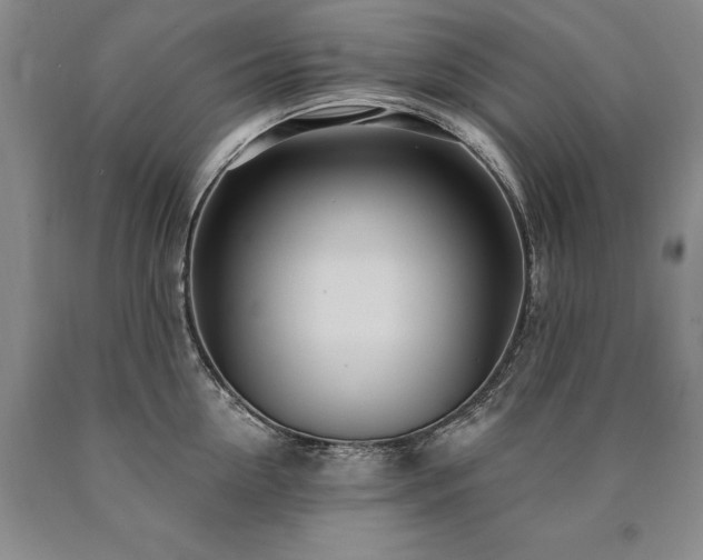 X0000090870954200707271248