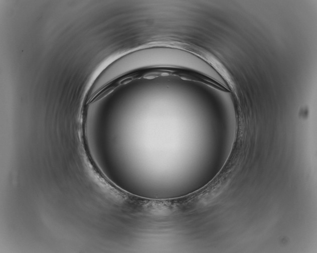 X0000090870955200707271248