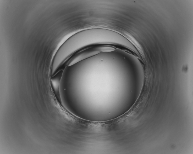 X0000090870956200707271248