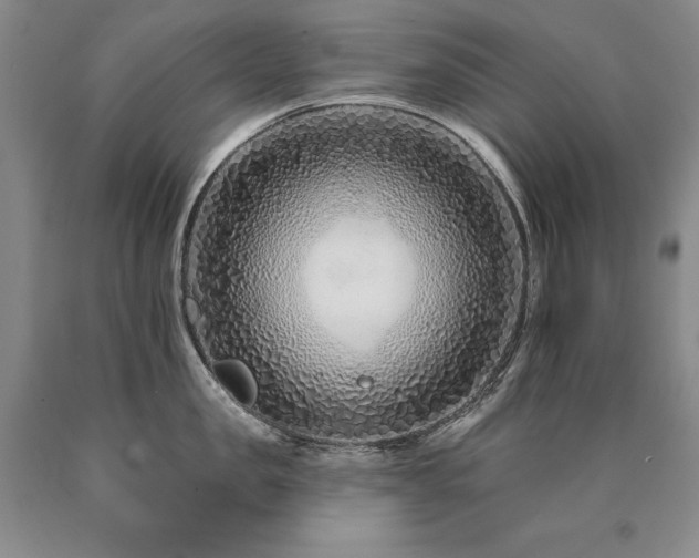 X0000090870957200707271248