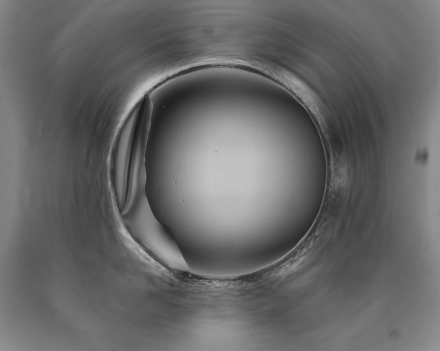 X0000090870958200707271248