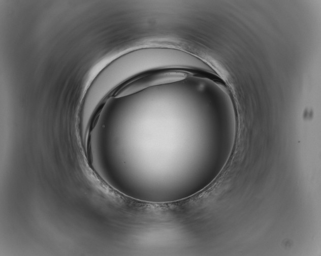 X0000090870960200707271248