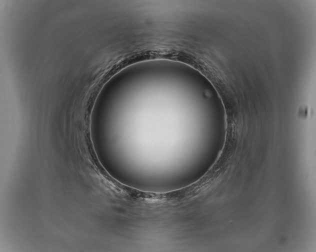 X0000090870961200707271247