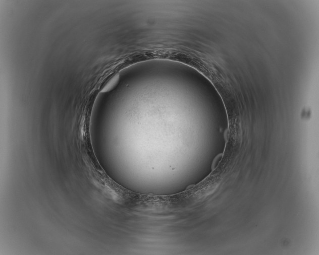 X0000090870962200707271247