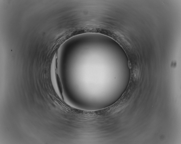 X0000090870964200707271247