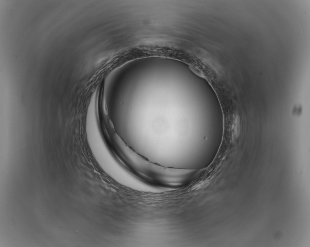 X0000090870965200707271247