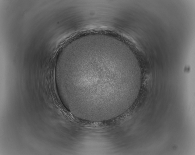 X0000090870966200707271247