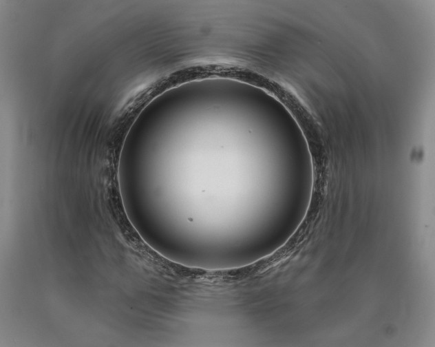 X0000090870967200707271247