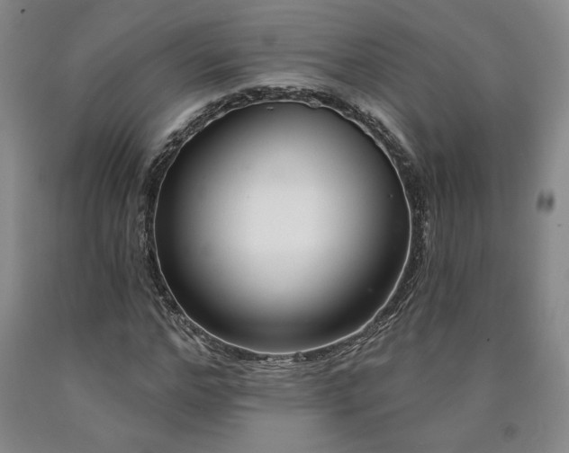 X0000090870968200707271247