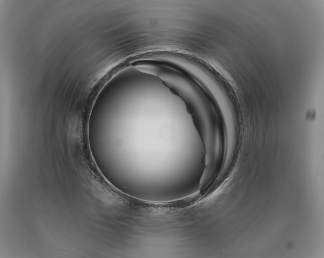 X0000090870969200707271247