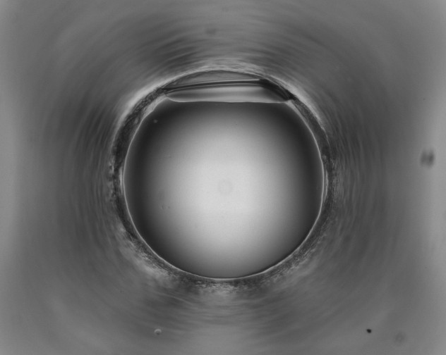 X0000090870971200707271247