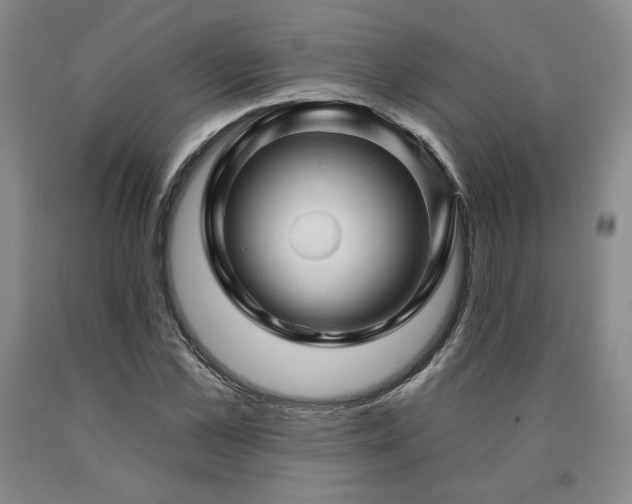 X0000090870973200707271247