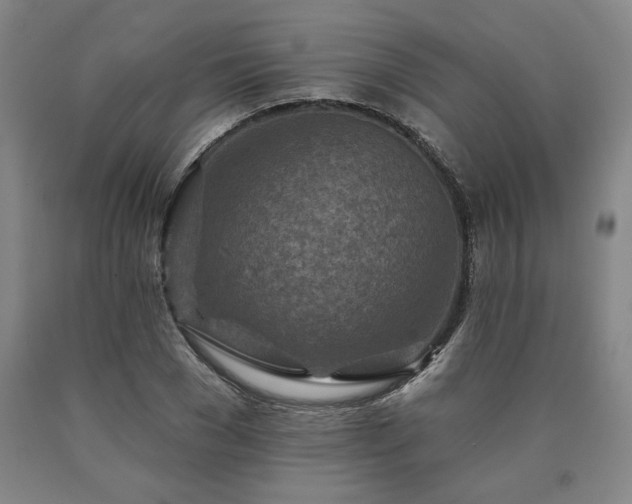 X0000090870977200707271247