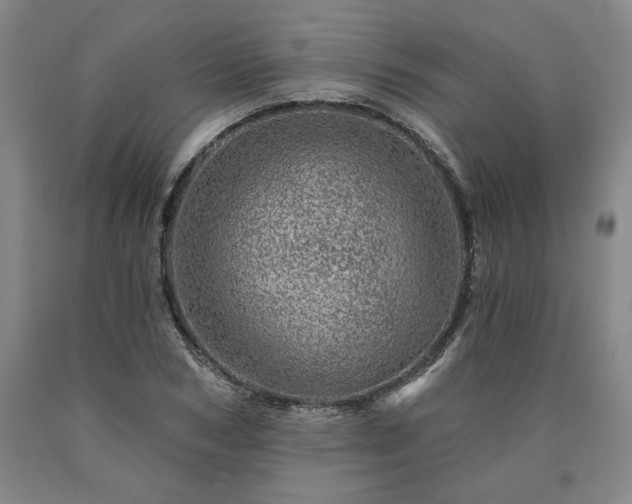 X0000090870978200707271247