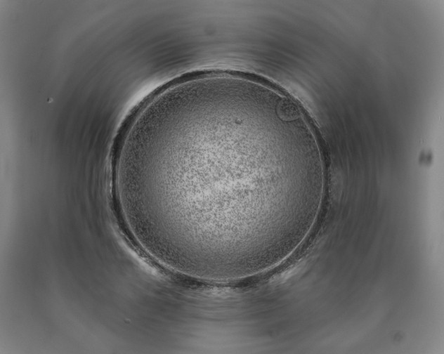 X0000090870982200707271247