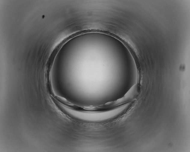 X0000090870983200707271247