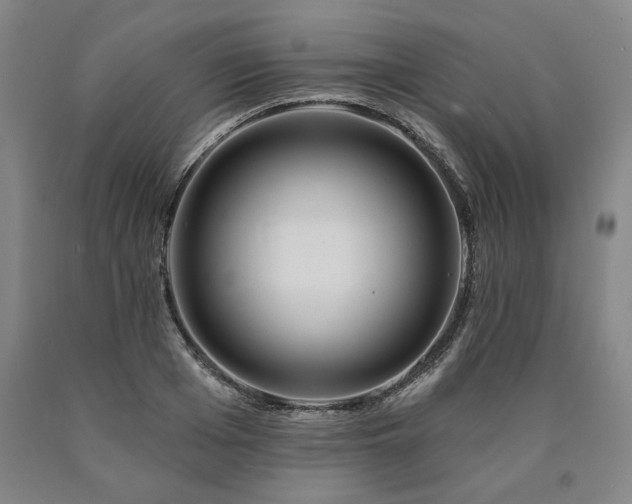 X0000090870985200707271247