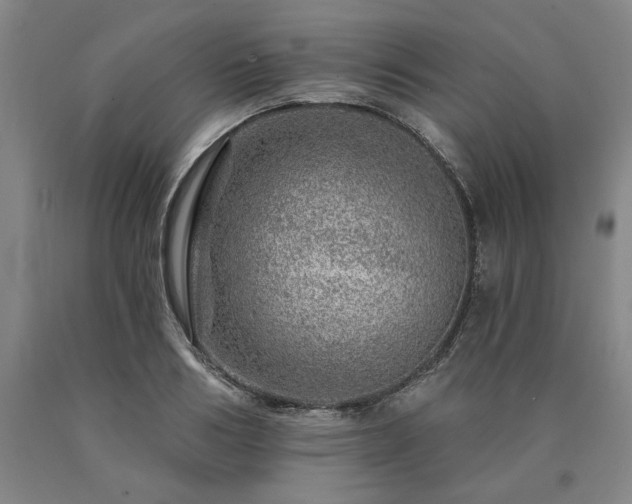 X0000090870986200707271247