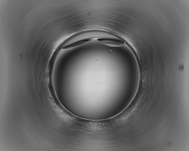 X0000090870987200707271247