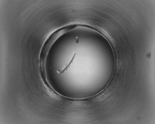 X0000090870988200707271247