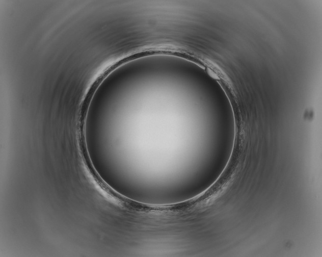 X0000090870989200707271247