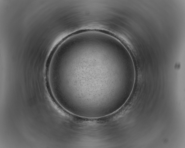 X0000090870990200707271247