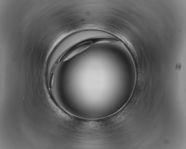 X0000090870992200707271247