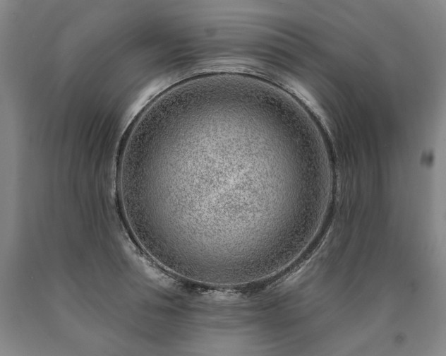 X0000090870994200707271246