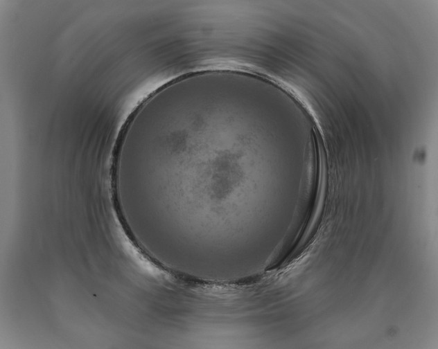 X0000090870995200707271246