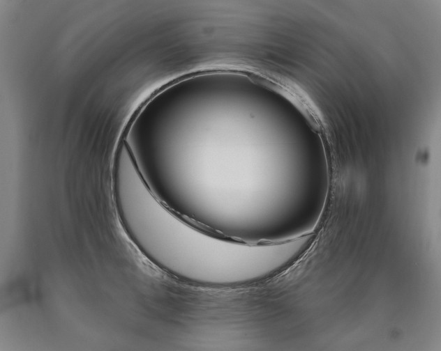 X0000090870996200707271246