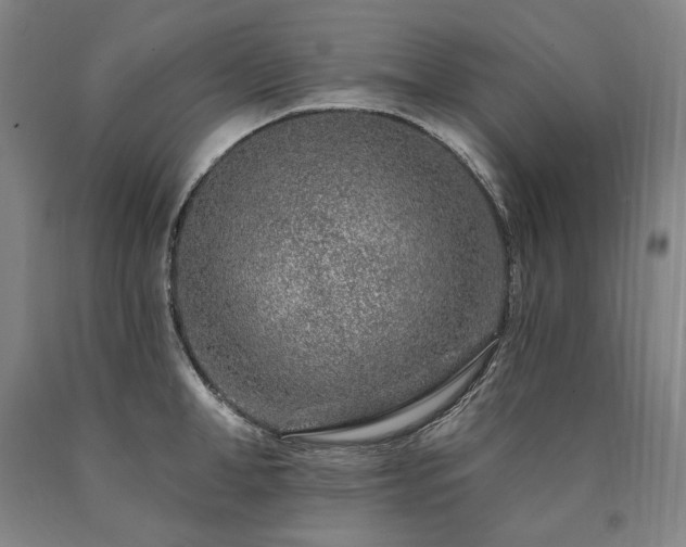 X0000090870998200707271246