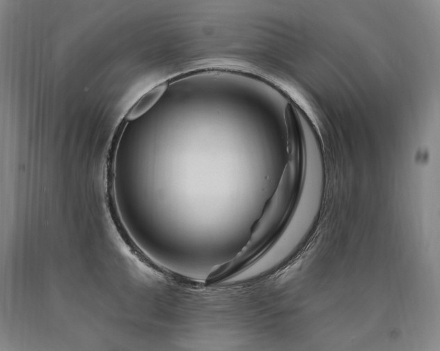 X0000090870999200707271246