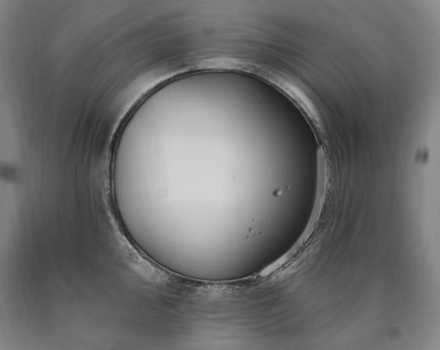 X0000090871000200707271246