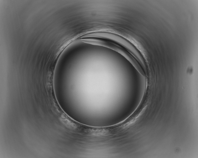 X0000090871001200707271246