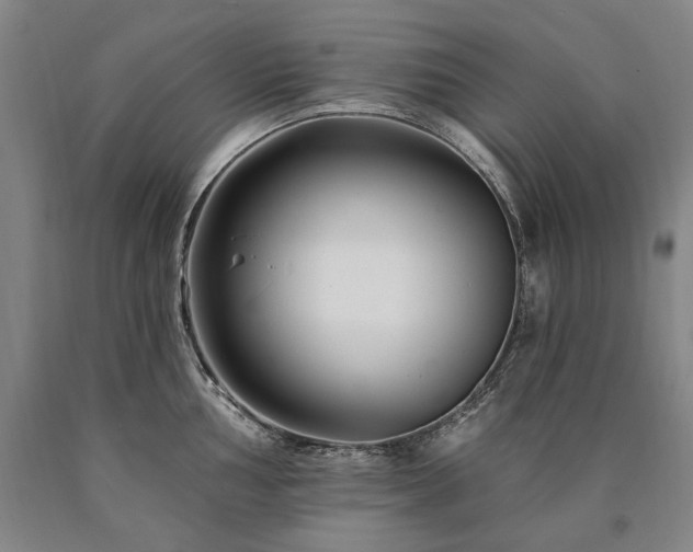 X0000090871002200707271246