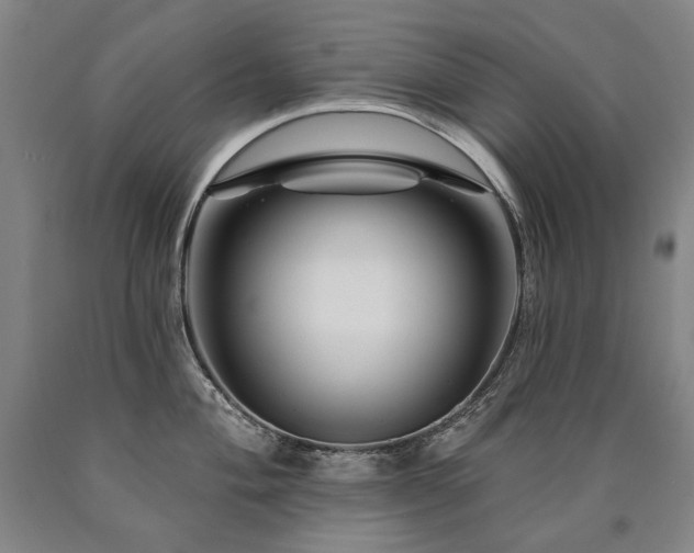 X0000090871004200707271246