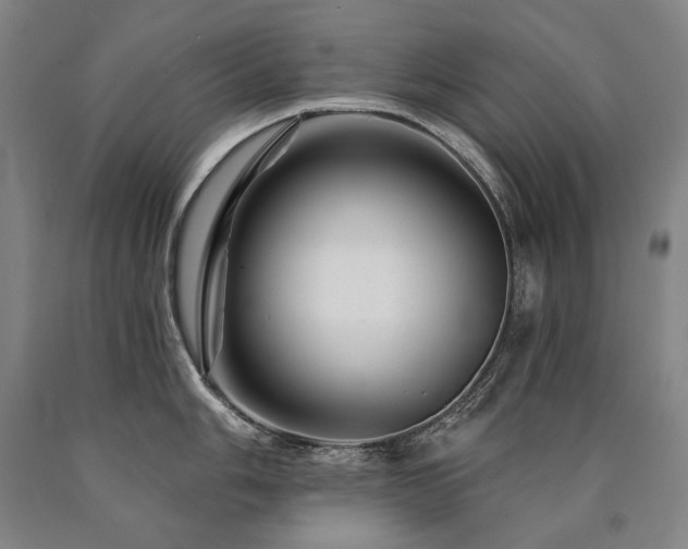 X0000090871006200707271246
