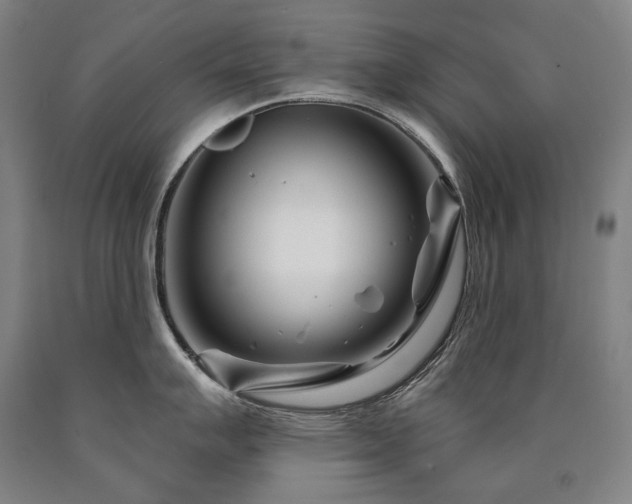 X0000090871007200707271246