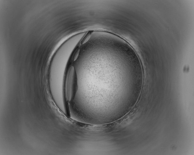 X0000090871008200707271246