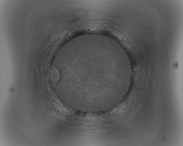 X0000090871009200707271246