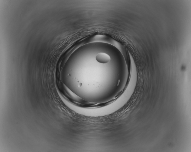 X0000090871010200707271246