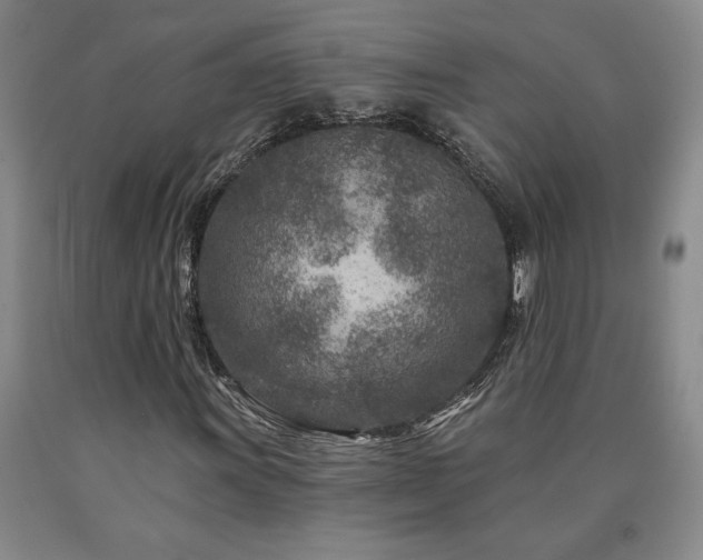 X0000090871011200707271246
