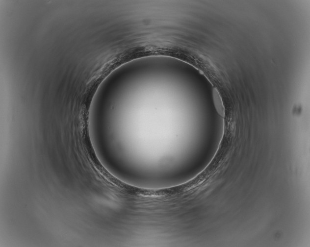 X0000090871012200707271246