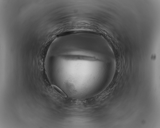 X0000090871013200707271246