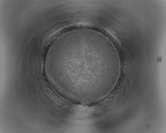 X0000090871015200707271246