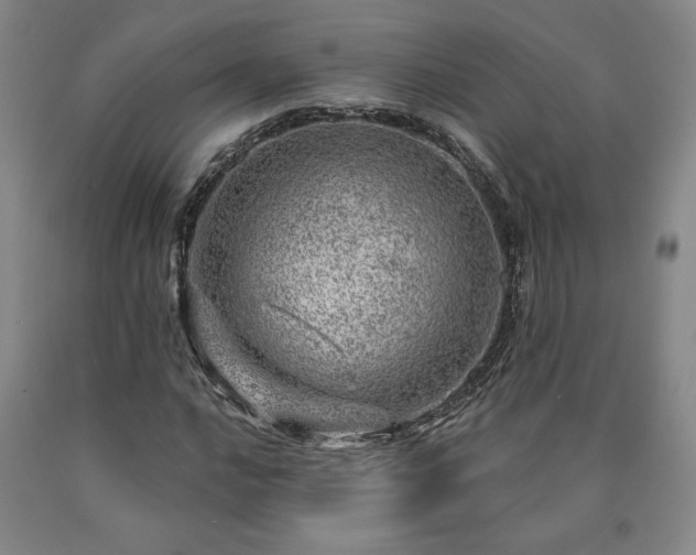 X0000090871016200707271246