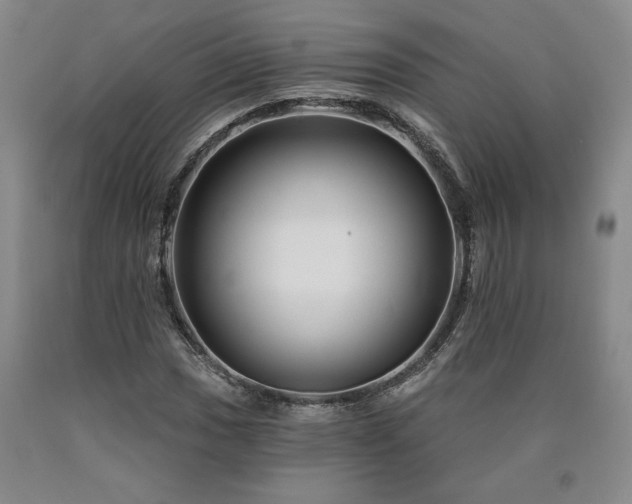 X0000090871017200707271246