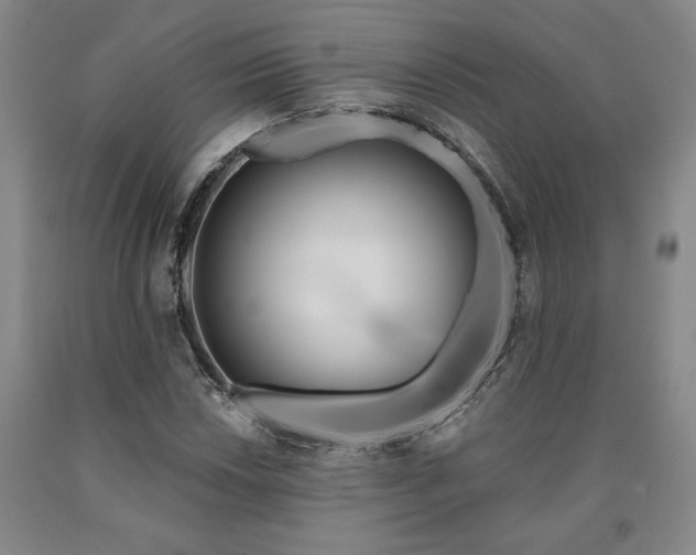 X0000090871018200707271246