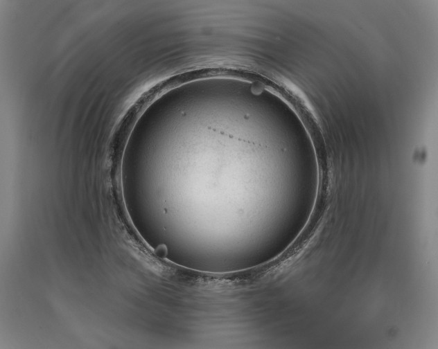 X0000090871019200707271246